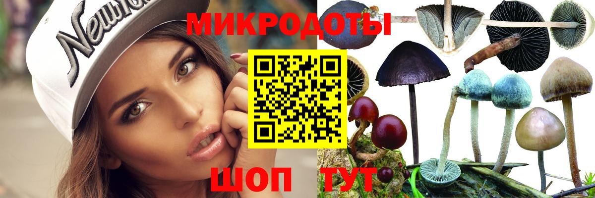Севастополь  Псилоцибиновые грибы мицелий  Вход с VPN 